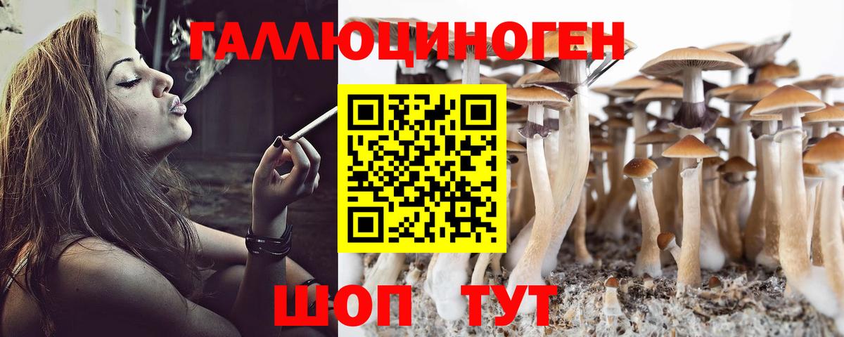 Рассказово  Псилоцибиновые грибы Magic Shrooms  Вход с VPN 